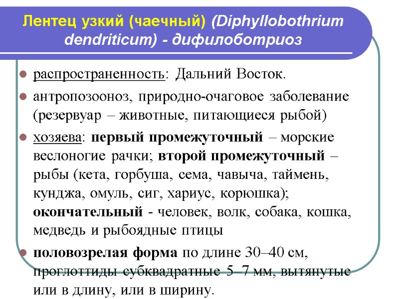 Лентец узкий (чаечный) (Diphyllobothrium dendriticum) - дифилоботриоз распространенность: Дальний Восток. антропозооноз, природно-очаговое заболевание (резервуар